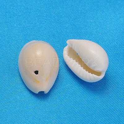 Natural Cowrie Shell Beads X-BSHE-S056-1