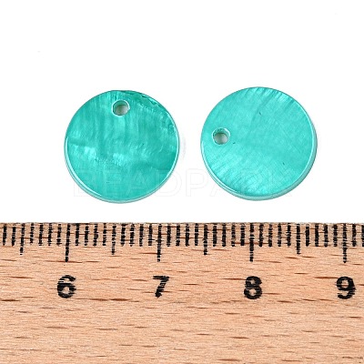 Spray Painted Natural Freshwater Shell Flat Round Charms SHEL-N036-09-1