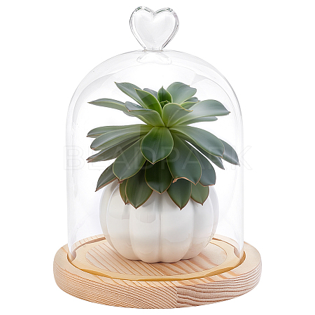 Heart Glass Dome Cover AJEW-WH0794-73-1