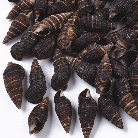 Natural Spiral Shell Beads SSHEL-S258-92-1