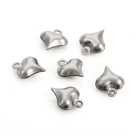 304 Stainless Steel Charms STAS-I149-05A-P-1