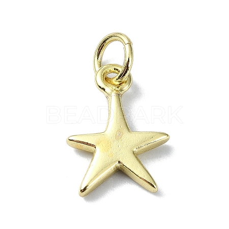 Brass Charms KK-H475-38G-03-1