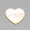 Natural White Shell Mother of Pearl Shell Cabochons X-SSHEL-R041-53-3