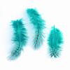 Chicken Feather Costume Accessories FIND-Q048-03-2