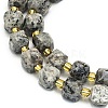 Natural Syenite Beads Strand G-I376-D17-01-3