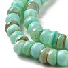 Natural Cultured Freshwater Shell Beads Strands SHEL-F002-01C-4