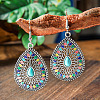 Bohemian Style Alloy Acrylic Dangle Earrings WGAEF55-06-1