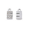 304 Stainless Steel Charms STAS-N095-137E-2