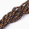 Natural Tiger Eye Beads Strands GSR4mmC014-AB+-1