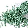 TOHO Round Seed Beads X-SEED-TR08-PF0561-1