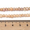 Natural Cultured Freshwater Pearl Beads Strands PEAR-L034-09B-5