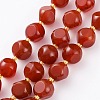 Natural Carnelian Beads Strands G-A030-B24-10mm-A-1