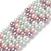 Shell Pearl Bead Strands BSHE-L017-10-1