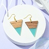 Resin & Walnut Wood Triangle Dangle Earrings EJEW-JE05505-03-3