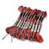10 Skeins 6-Ply Polyester Embroidery Floss OCOR-K006-A37-1