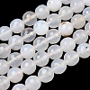 Natural Agate Beads Strands G-M435-B01-01Q-2