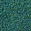 MIYUKI Round Rocailles Beads X-SEED-G007-RR0146FR-3