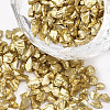 FGB Plated Glass Seed Beads SEED-S020-03E-20-1