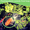 2 Sets EVA Foam Feeding Ring for Fish AJEW-CN0002-52B-5