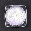 Holographic Chunky Glitter Nail Art Pigment Dust MRMJ-S015-009-M-3
