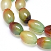 Natural Peacock Agate Beads Strands G-D0005-08-3