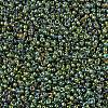 MIYUKI Round Rocailles Beads X-SEED-G007-RR0361-4