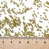 TOHO Round Seed Beads SEED-XTR15-0246-4