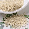 MIYUKI Delica Beads SEED-JP0008-DB0204-1