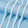 Polyester Ribbon OCOR-WH0079-12B-5