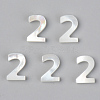 Natural White Shell Mother of Pearl Shell Charms SSHEL-R048-004-02-1
