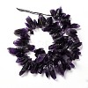 Rough Raw Natural Amethyst Beads Strands G-G010-12-2