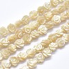 Shell Bead Strands SSHEL-P015-01B-6mm-1