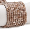 Natural Peach Moonstone Beads Strands G-B093-C01-01-2