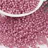 MIYUKI Round Rocailles Beads SEED-JP0009-RR0556-1