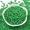 Baking Paint Glass Seed Beads SEED-L011-09A-02-2