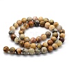Natural Crazy Agate Beads Strands G-G763-10-10mm-2