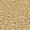 MIYUKI Delica Beads SEED-MY11-DB1571-3