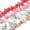 Natural Trochid Shell/Trochus Shell Beads Strands SSHEL-T014-41-1
