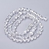 Electroplate Glass Beads Strands EGLA-J149-B-AB01-2