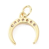 Brass Cubic Zirconia Charms ZIRC-C022-12G-2