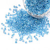 12/0 Glass Seed Beads SEED-A016-2mm-211-1