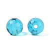 FGB Transparent Glass Seed Beads SEED-N013-01C-10-2