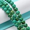 Natural Howlite Beads Strands G-E604-B05-A-2