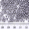 12/0 Baking Paint Glass Round Seed Beads SEED-S036-01A-09-3