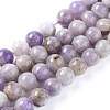 Natural Amethyst Beads Strands X-G-L555-01-10mm-1