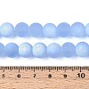Frosted Transparent Glass Beads Strands GLAA-T032-T10mm-MBB04-4