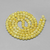 Glass Beads Strands X-DGLA-S115-10mm-YS36-2