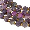 Natural Lepidolite/Purple Mica Stone Beads Strands G-F833-B03-01-3