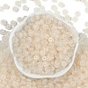 Transparent Colours Glass Seed Beads X1-SEED-P008-01B-06-3