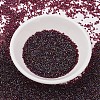 MIYUKI Delica Beads X-SEED-J020-DB1751-2
